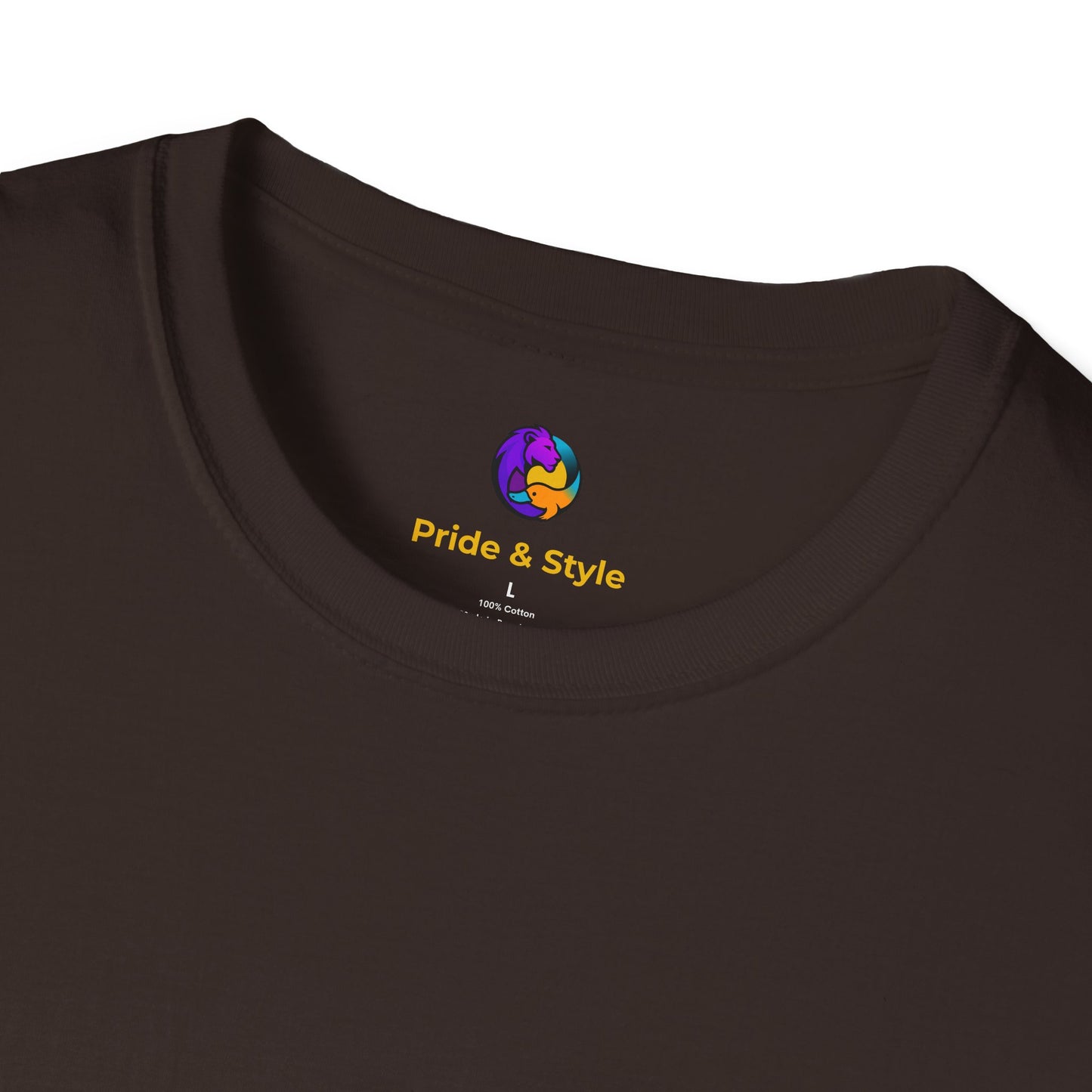Pride Style Unisex Softstyle T-Shirt, LGBTQ+ Apparel, Gay Pride Shirt, Festival Wear, Affirmation Tee, Inclusive Fashion
