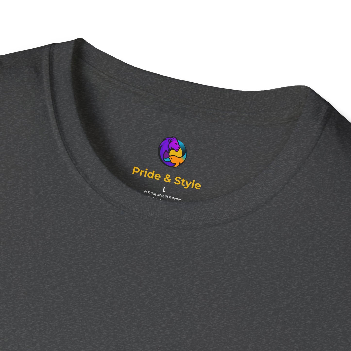 Pride Style Unisex Softstyle T-Shirt, LGBTQ+ Apparel, Gay Pride Shirt, Festival Wear, Affirmation Tee, Inclusive Fashion